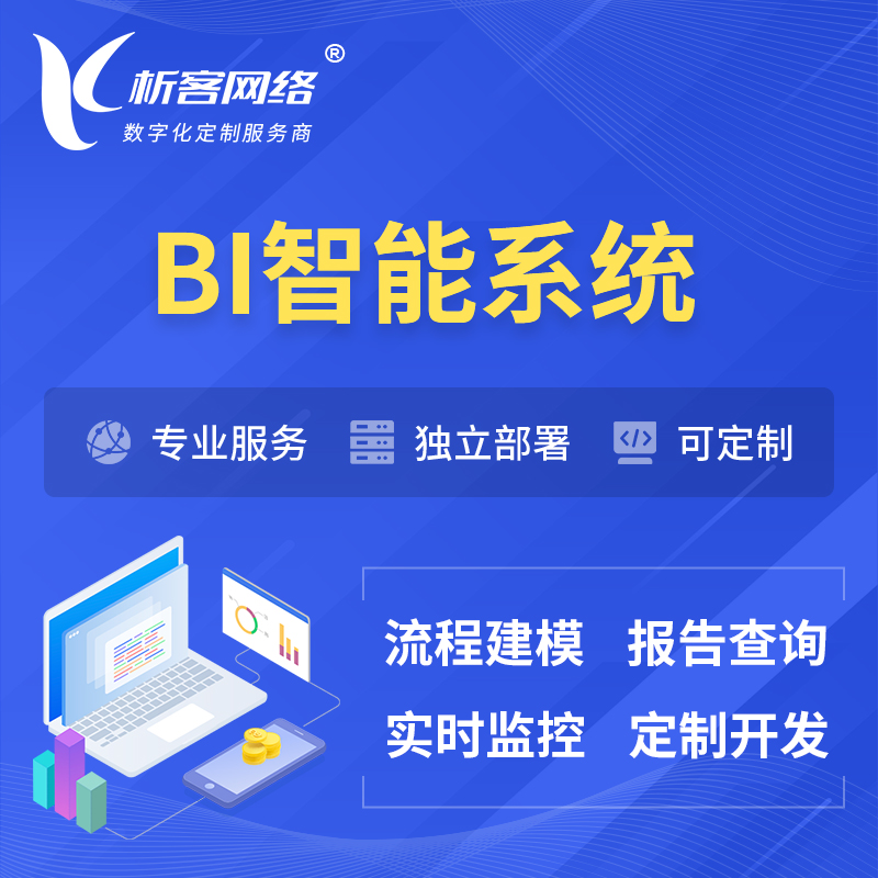 韩国BI智能系统 | BI数据可视化